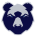 Bristol Bears