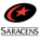 Сарацины