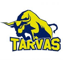 Тарвас