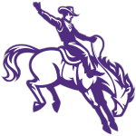 New Mexico Cowboys