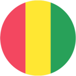 Gvineja